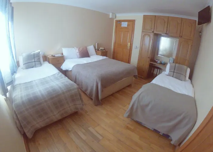 Guest house Foggy Dew 3*